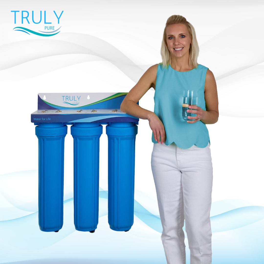 Pure 300 whole house water system with filters for scale reduction, PFAS chemical removal, and chlorine taste and odor improvement